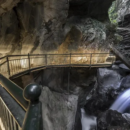 La Mimosa Di Appartement