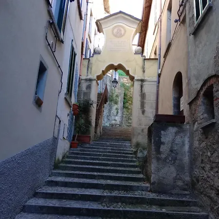 La Mimosa Di Bellano