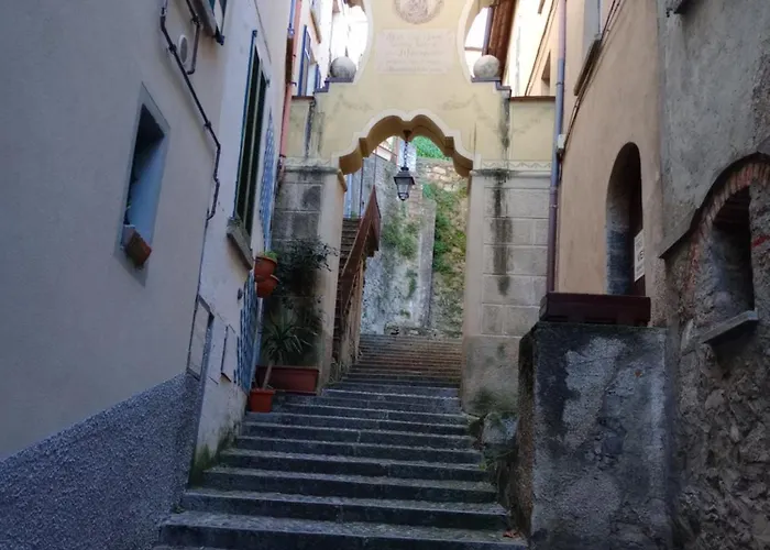 La Mimosa Di Bellano